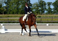 /album/knhs/knhs-dressuur-jpg/